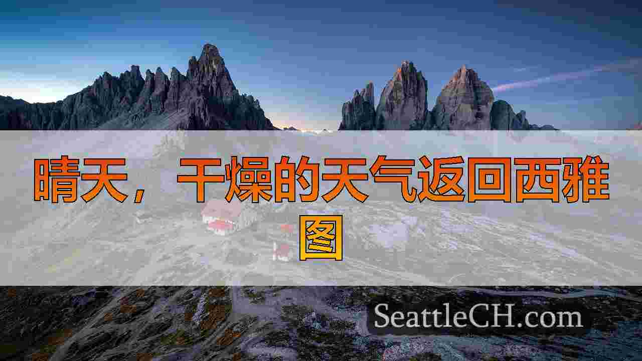 西雅图新闻 SeattleCH