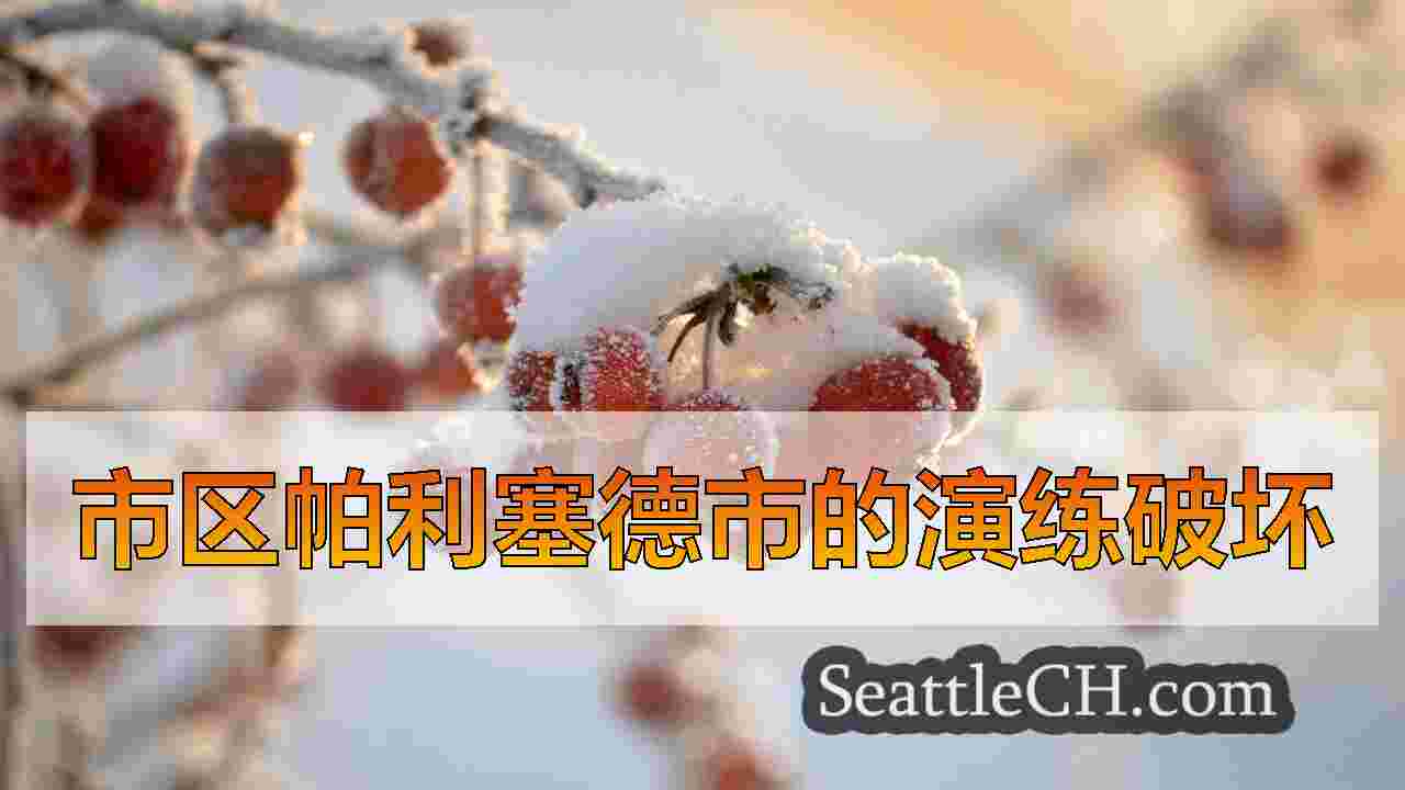 西雅图新闻 SeattleCH