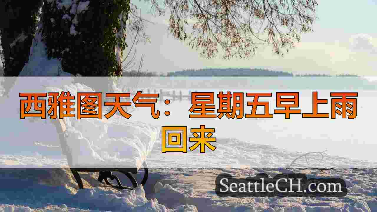 西雅图新闻 SeattleCH