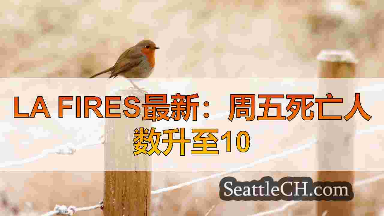 西雅图新闻 SeattleCH