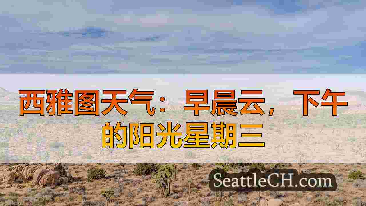 西雅图的天气：周三淋浴，周末阳光更多