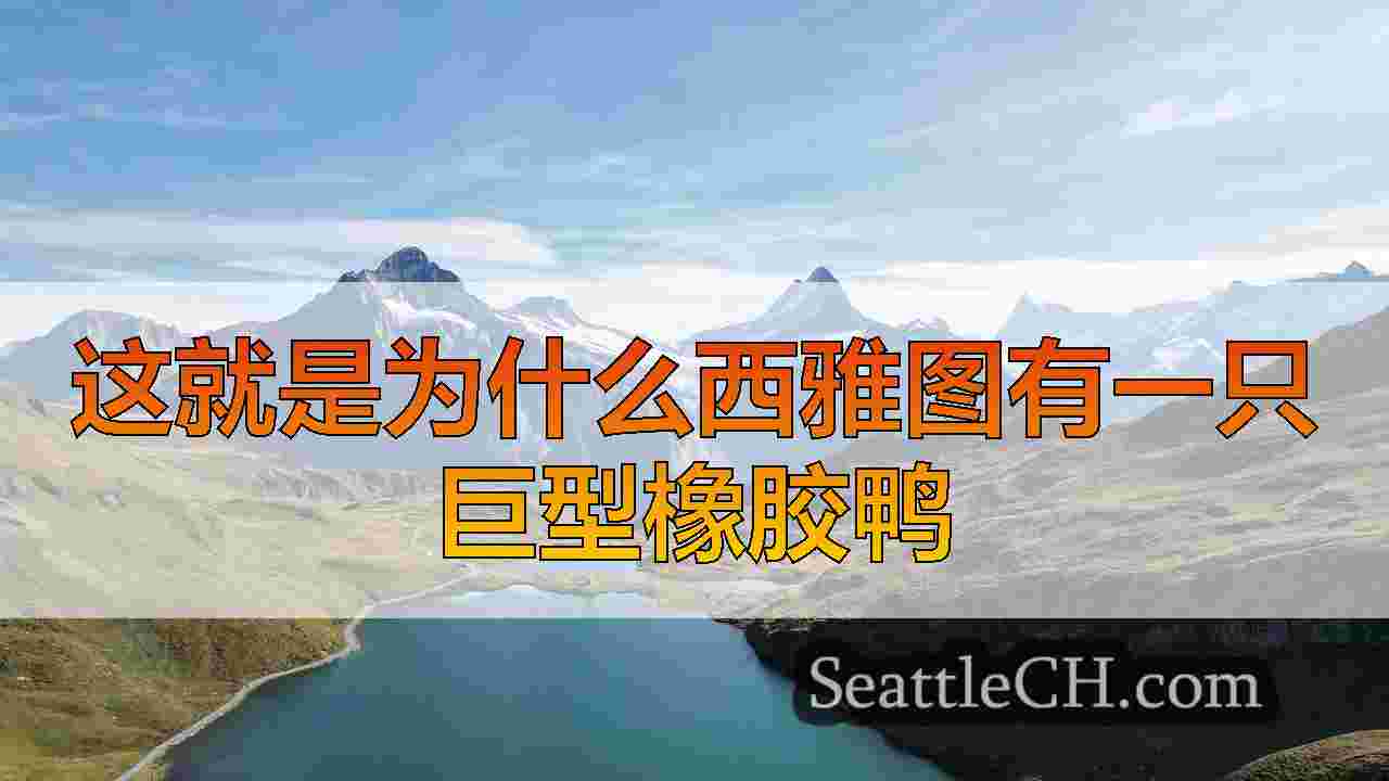 西雅图新闻 SeattleCH