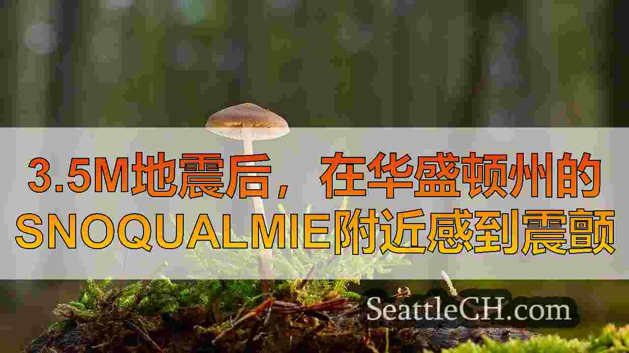 西雅图新闻 SeattleCH