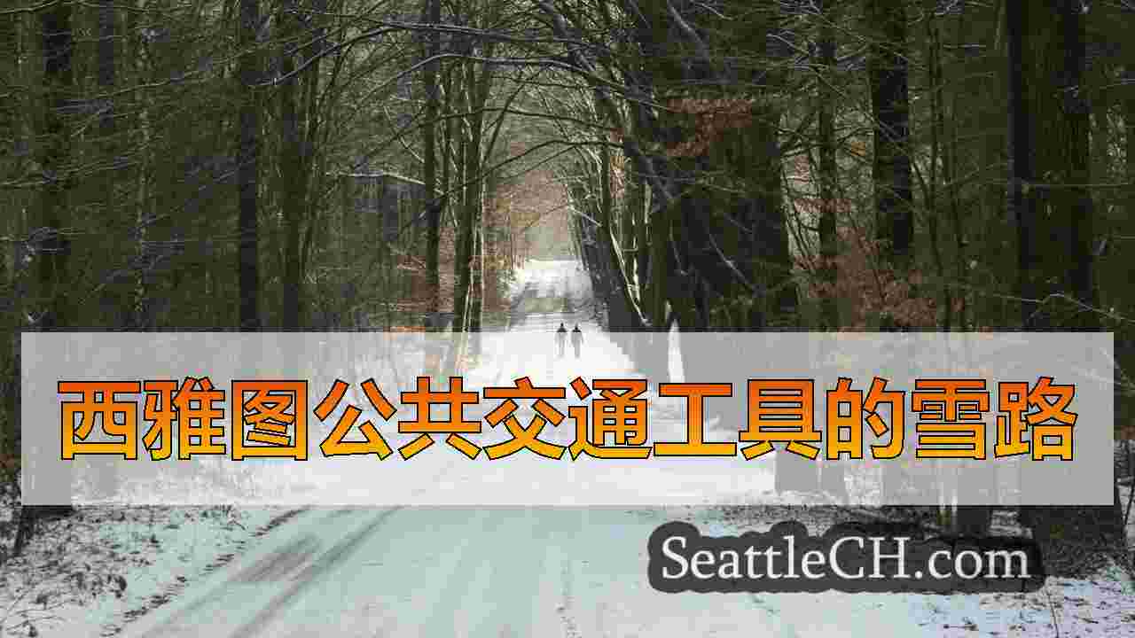 西雅图公共交通工具的雪路