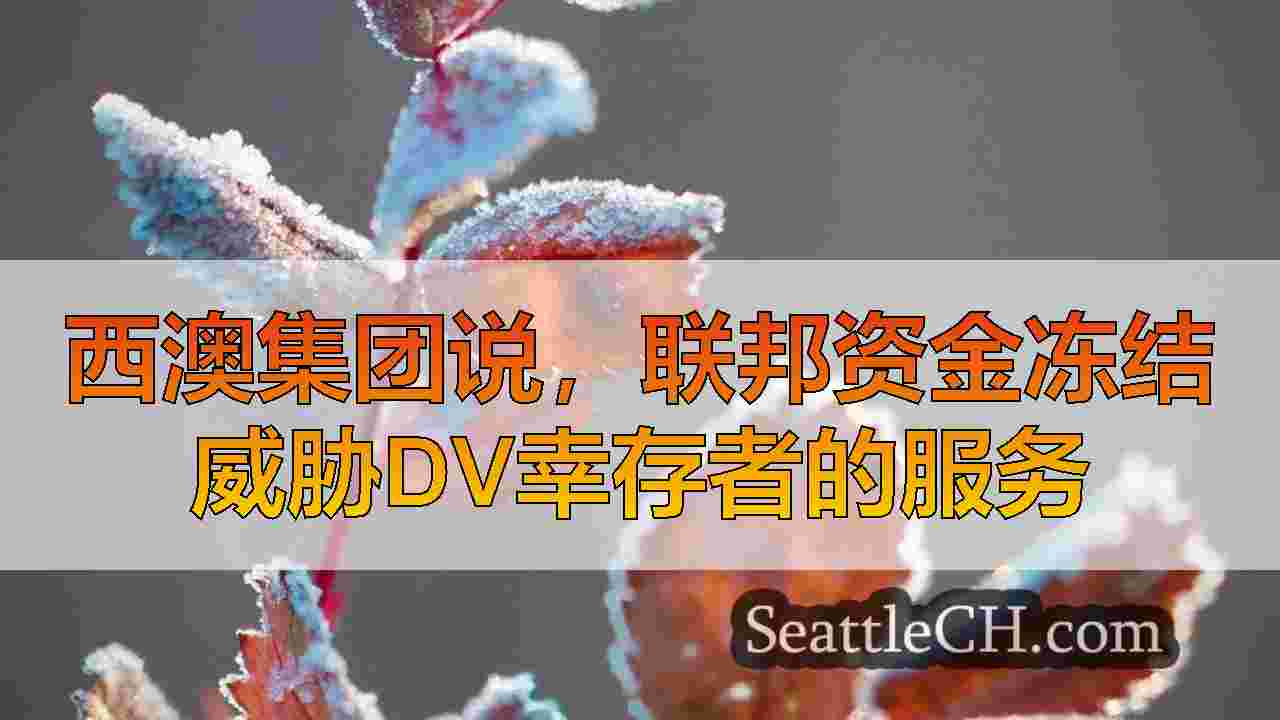 西雅图新闻 SeattleCH