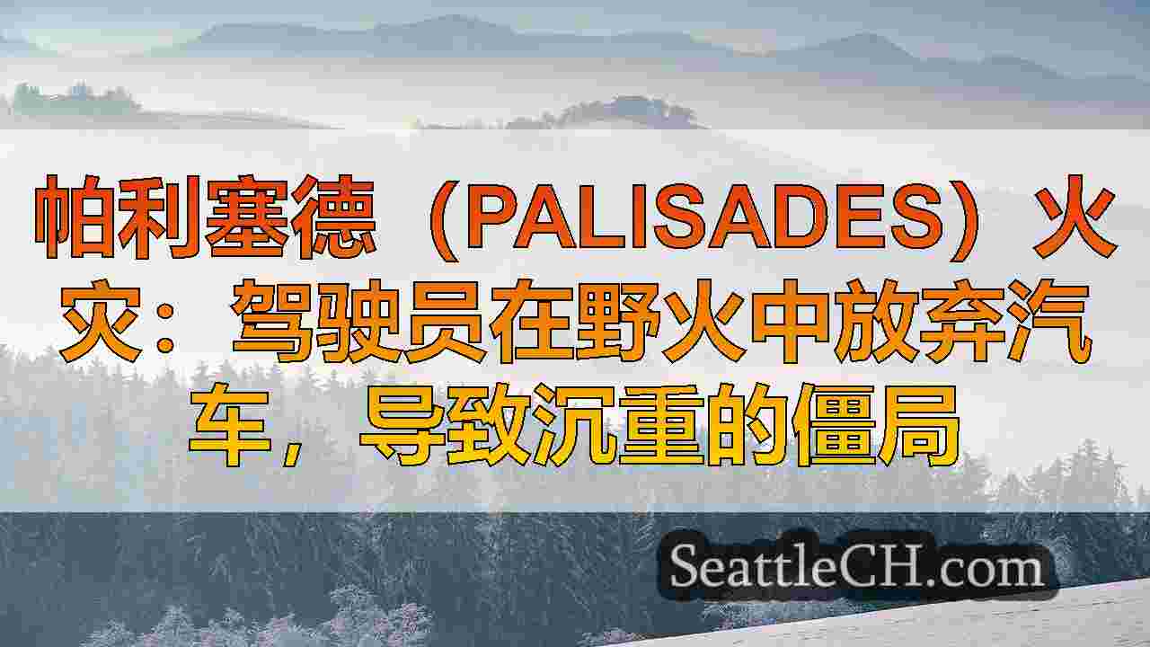 西雅图新闻 SeattleCH
