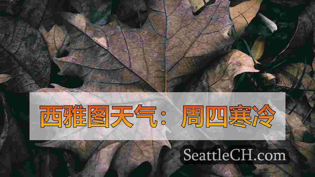 西雅图新闻 SeattleCH