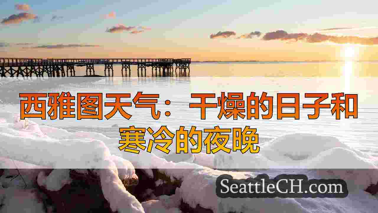 西雅图新闻 SeattleCH