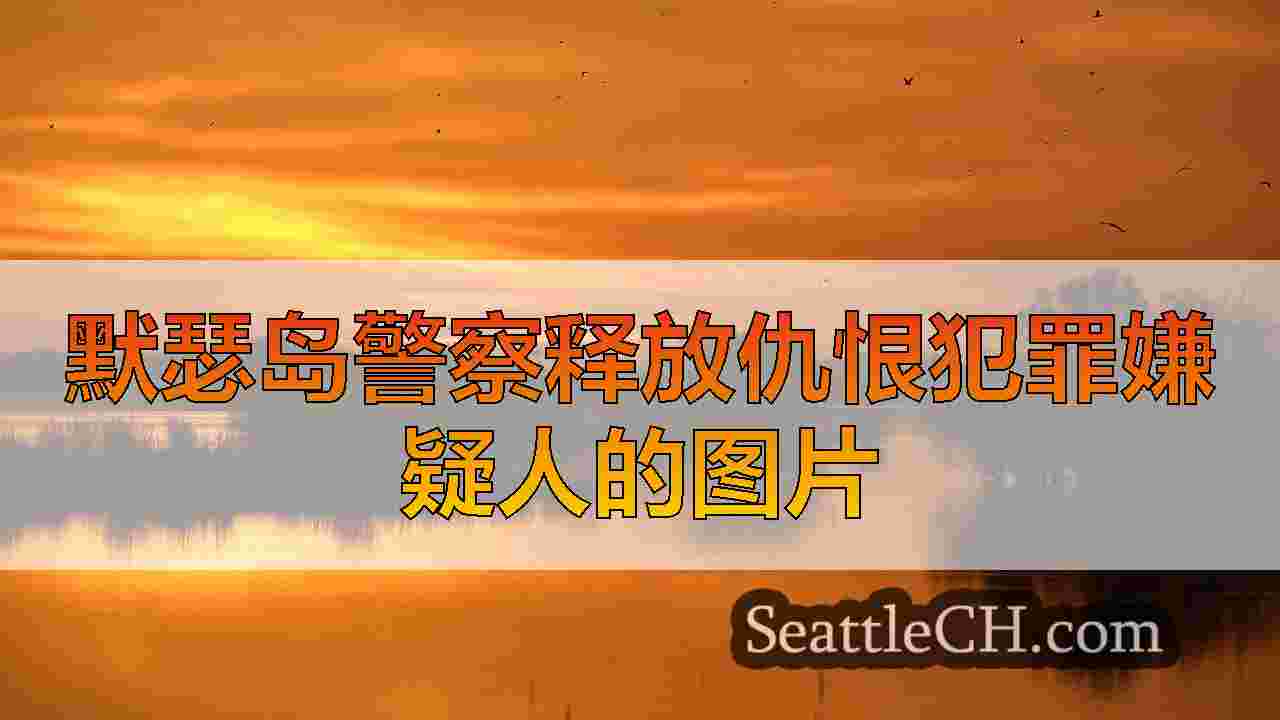 默瑟岛中学的2名嫌疑人想要基于仇恨的涂鸦
