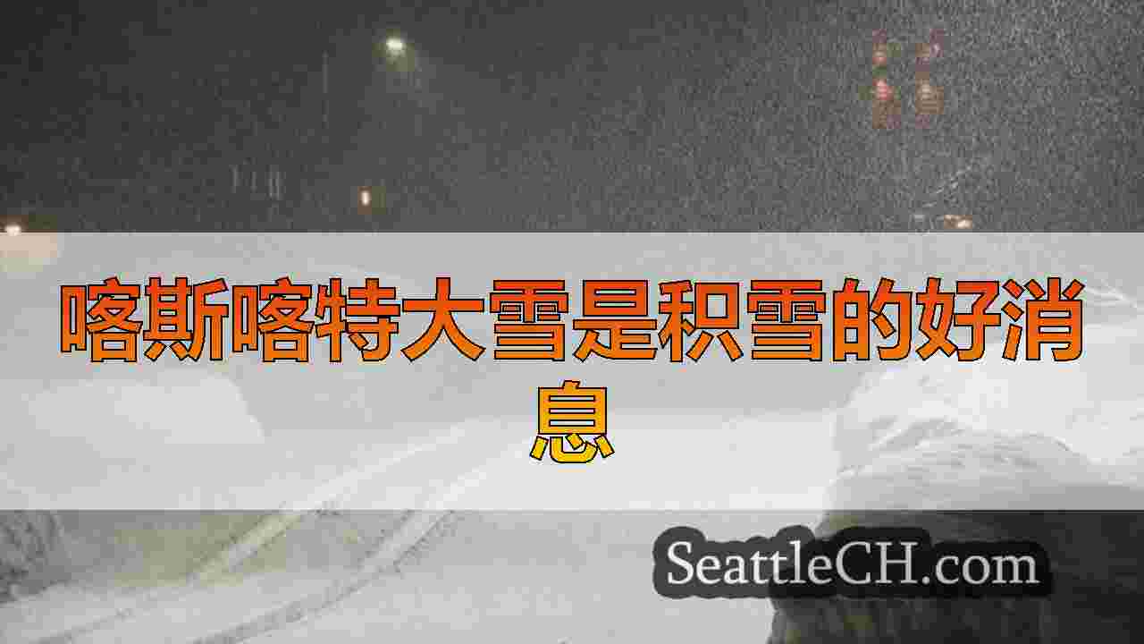 西雅图新闻 SeattleCH
