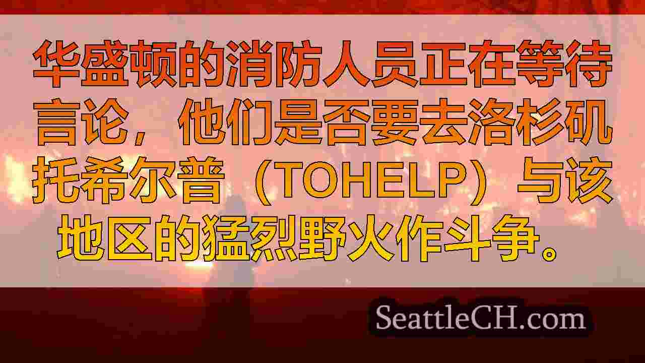 西雅图新闻 SeattleCH