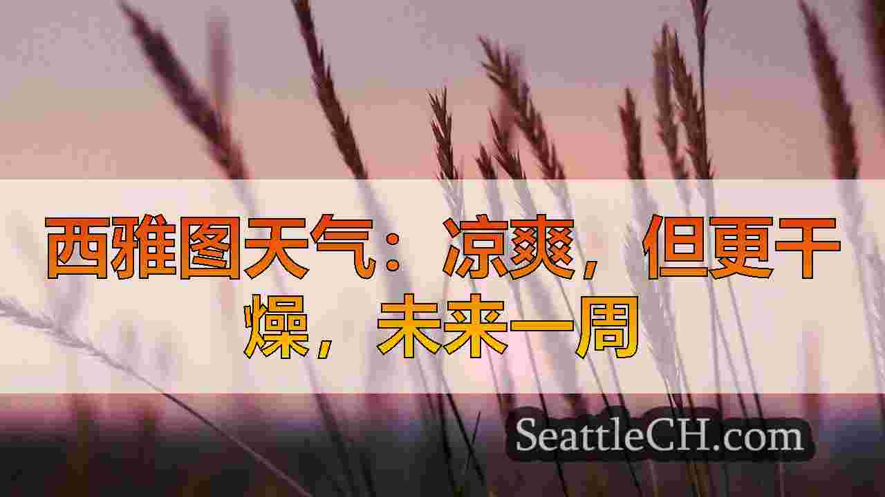 西雅图新闻 SeattleCH