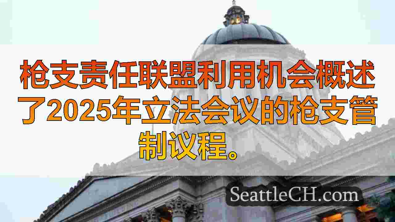 西雅图新闻 SeattleCH