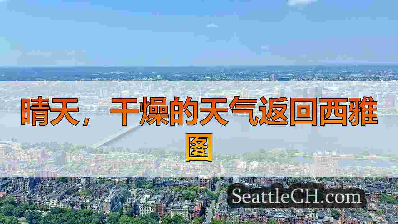 西雅图新闻 SeattleCH
