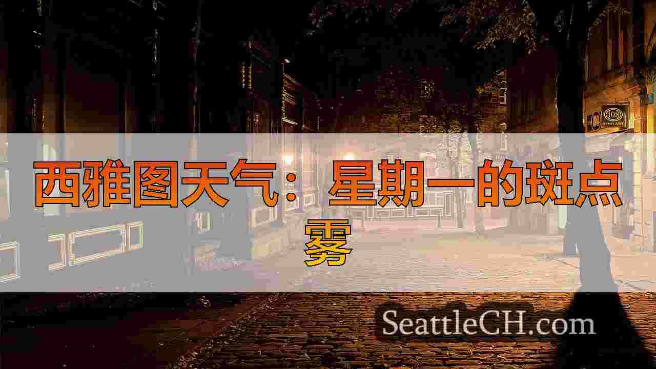 西雅图新闻 SeattleCH