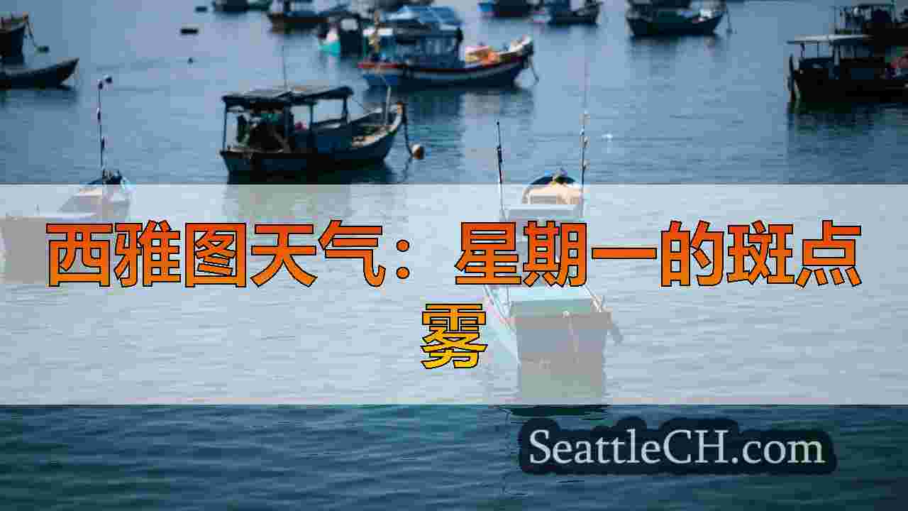 1月中旬的西雅图天气：地平线上有雨吗？