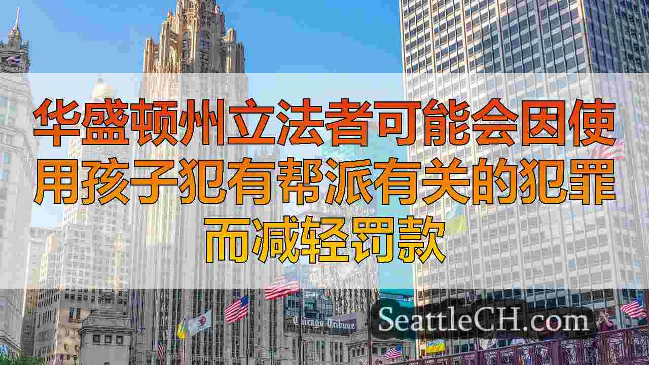 西雅图新闻 SeattleCH