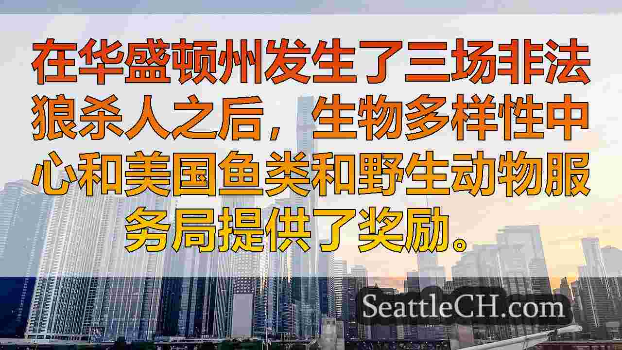 西雅图新闻 SeattleCH