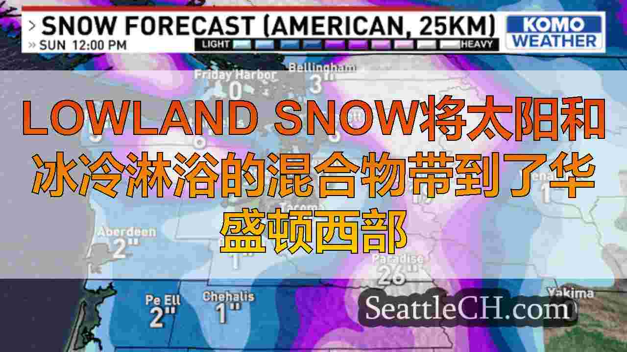西雅图新闻 SeattleCH