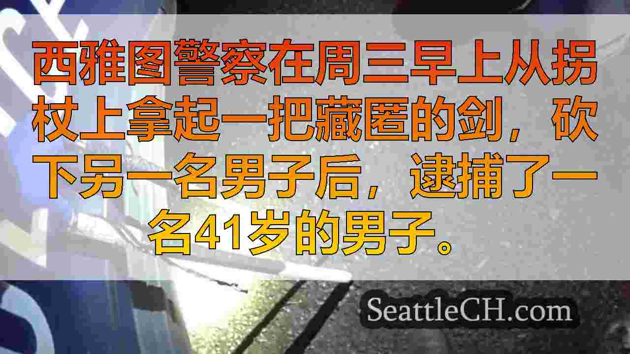 逃离BMX风格的自行车后，西雅图剑攻击中的嫌疑人在公园被捕