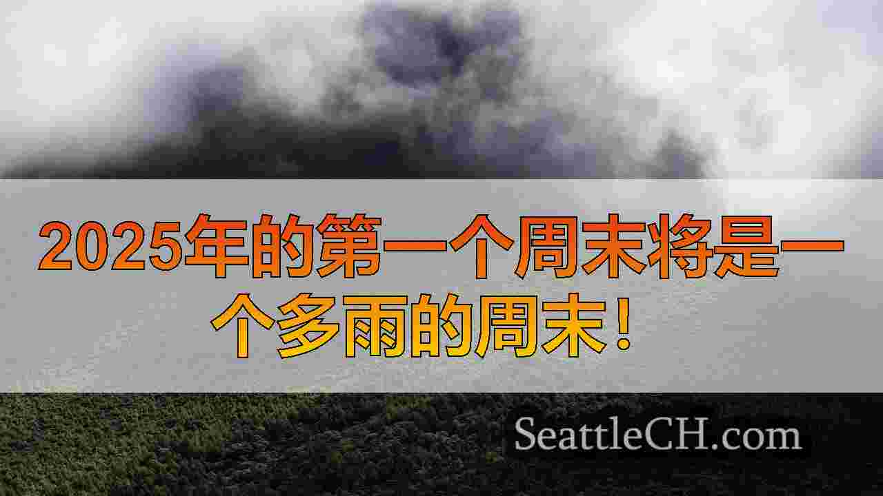 西雅图天气：微风而湿的一周