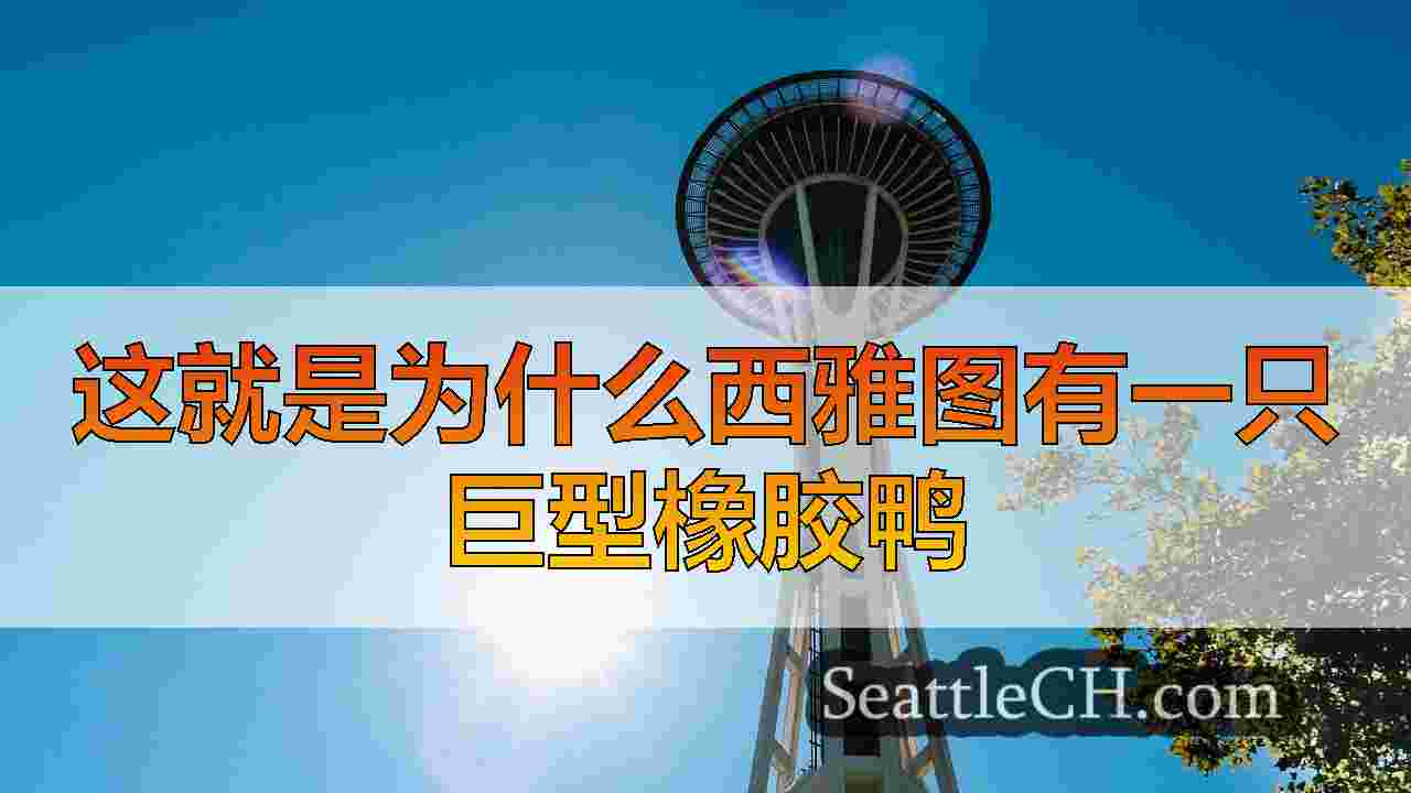 这就是为什么西雅图有一只巨型橡胶鸭