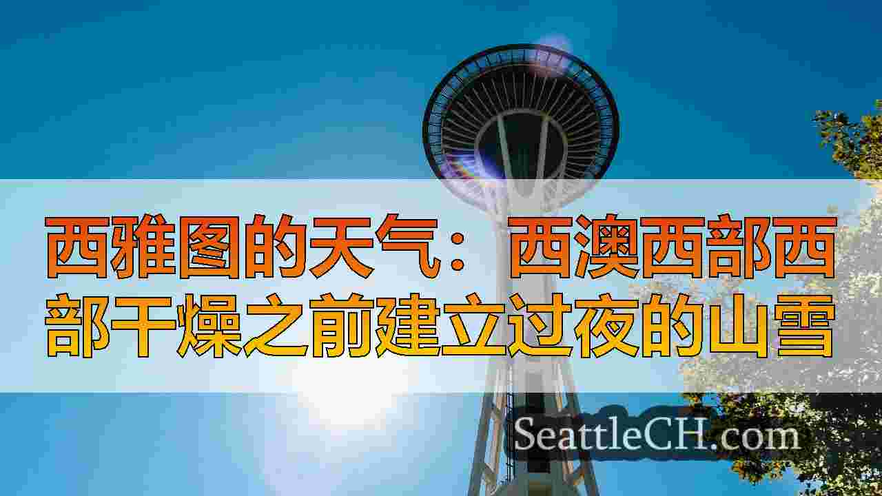 西雅图新闻 SeattleCH
