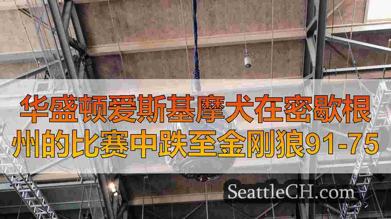 华盛顿爱斯基摩犬在密歇根州的比赛中跌至金刚狼91-75