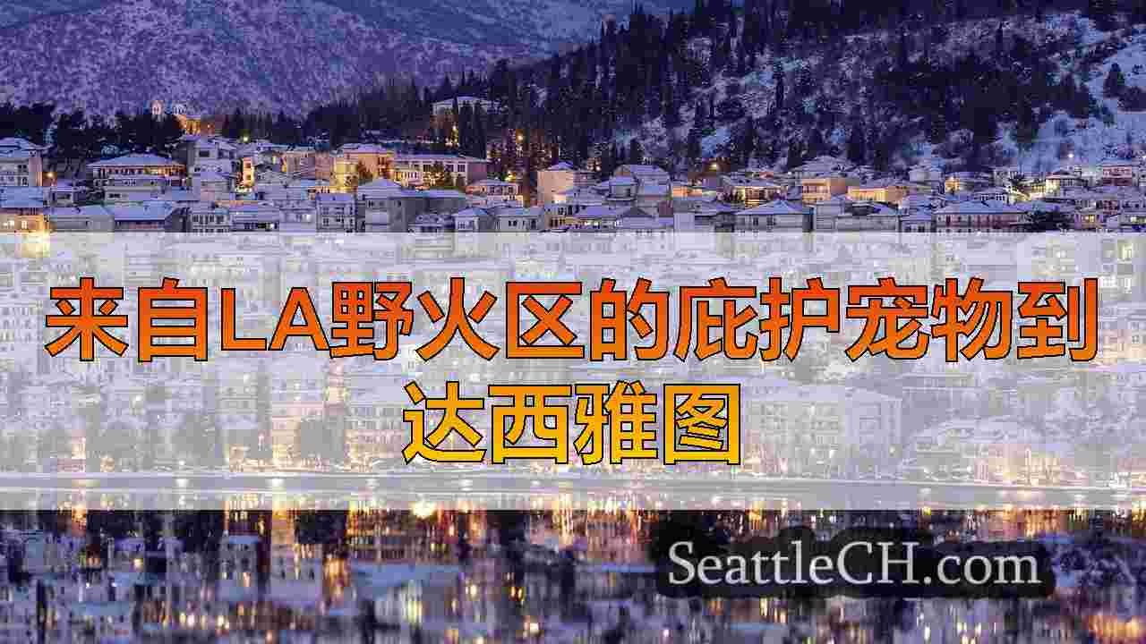 来自LA野火区的庇护宠物到达西雅图