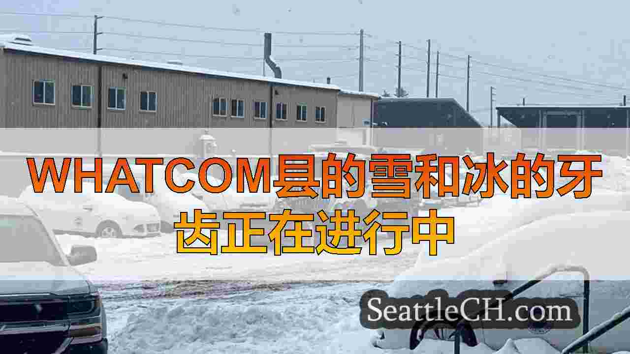 Whatcom县的雪和冰的牙齿正在进行中