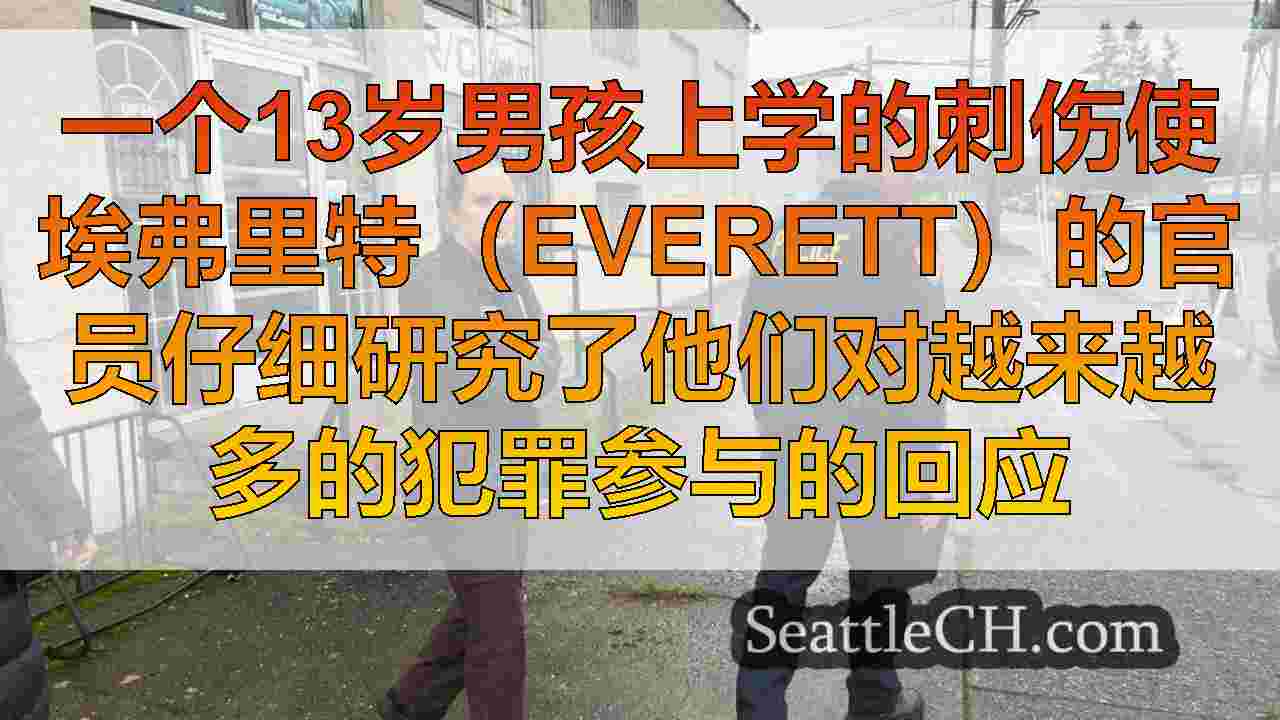 搜索继续寻找在少年犯罪率上升的埃弗里特（Everett）刺伤男孩的人