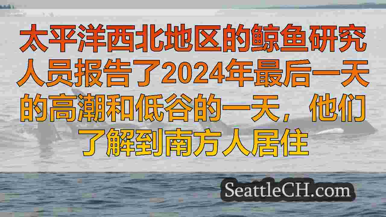 南部居民Orca Whale再次通过Puget Sound Area