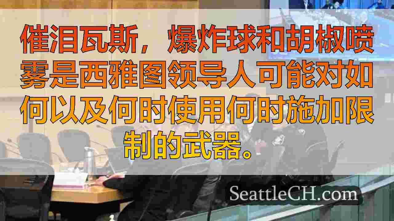 西雅图新闻 SeattleCH