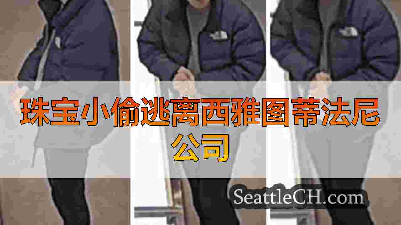 西雅图新闻 SeattleCH
