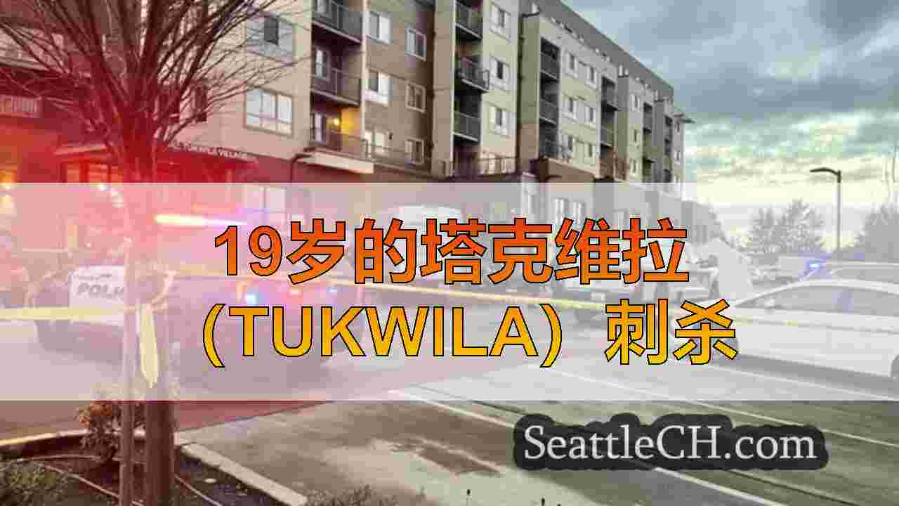 目击者说，青少年在战斗，在致命的图克维拉刺伤之前扔石头