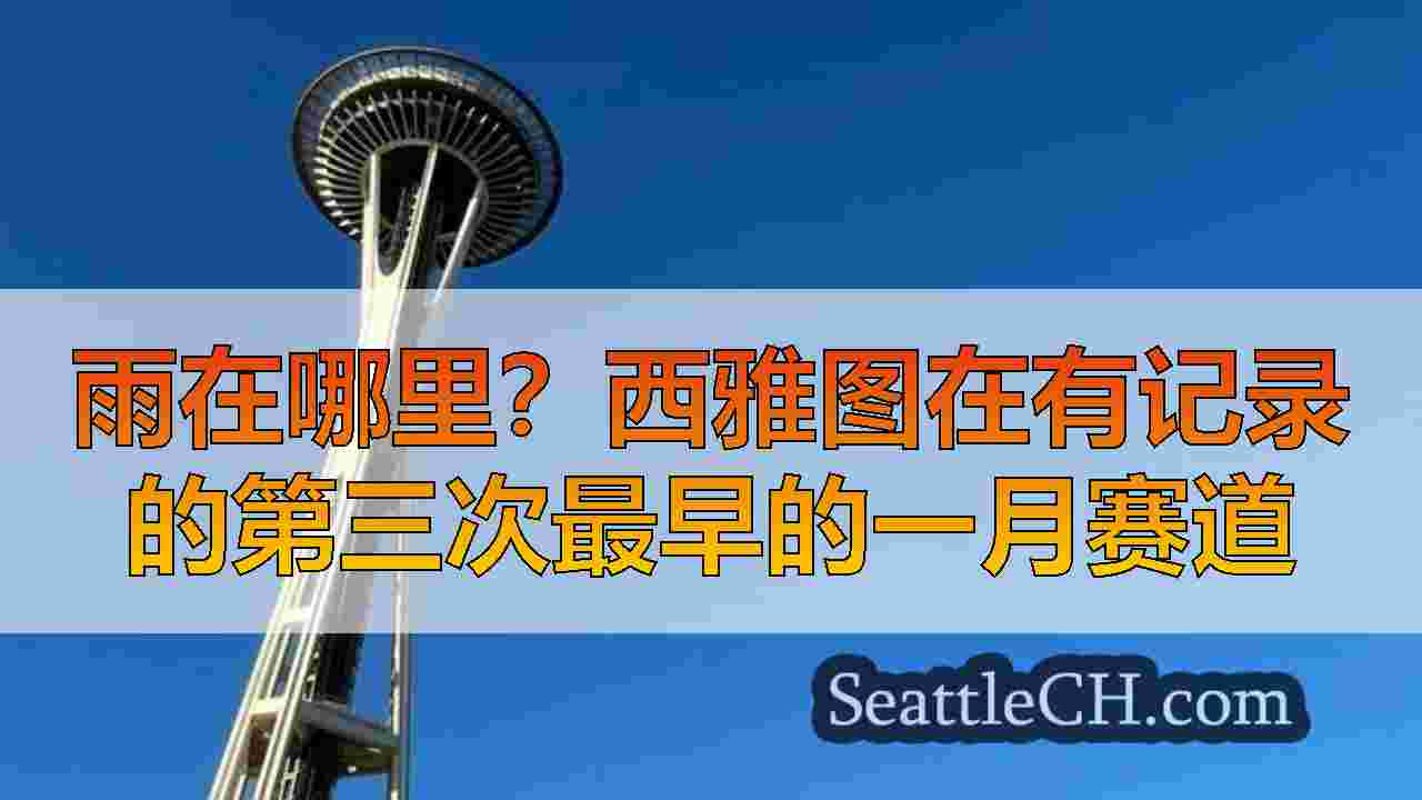 西雅图新闻 SeattleCH