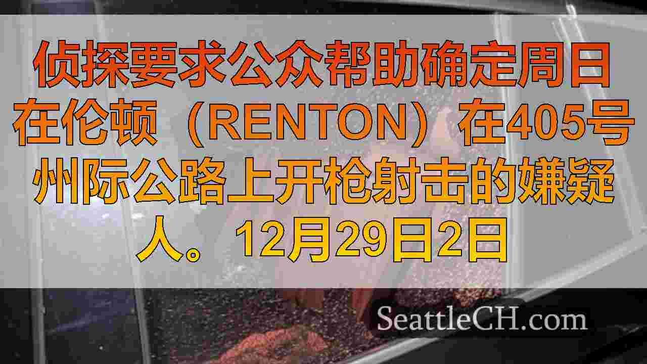 西雅图新闻 SeattleCH