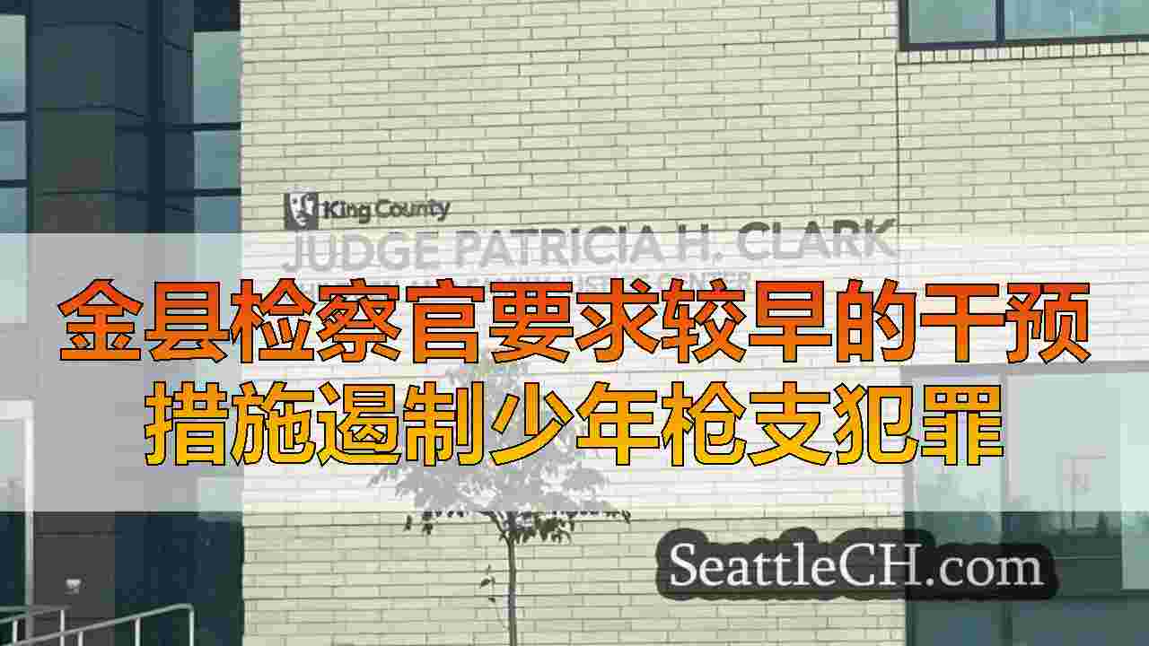 金县检察官要求较早的干预措施遏制少年枪支犯罪