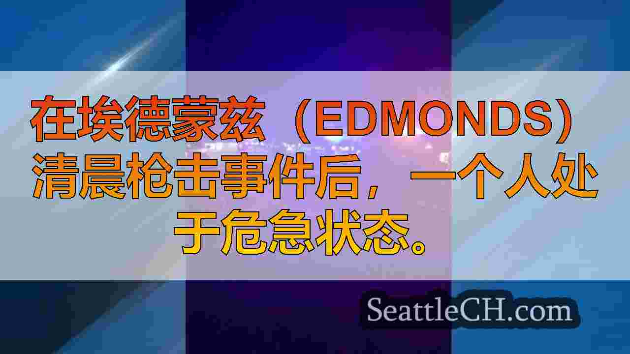 西雅图新闻 SeattleCH