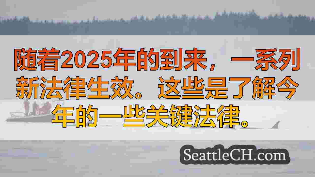 西雅图新闻 SeattleCH