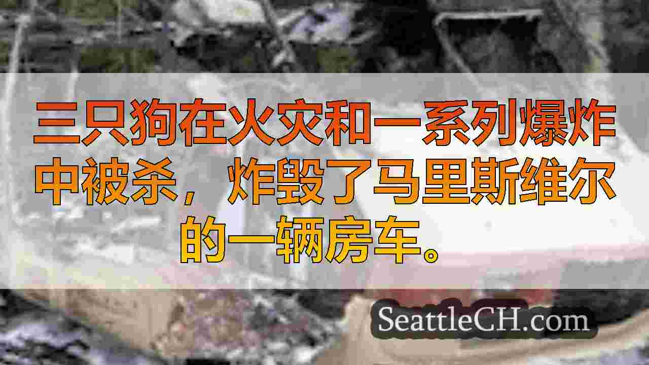 西雅图新闻 SeattleCH