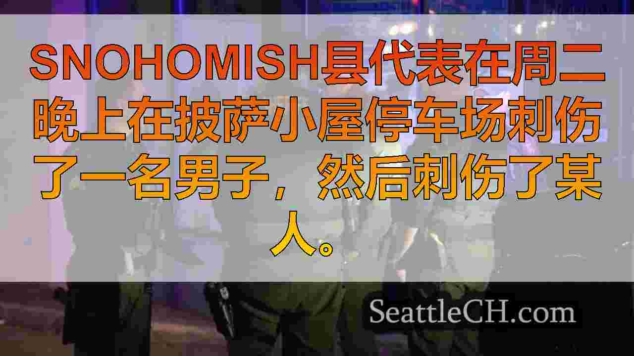 西雅图新闻 SeattleCH