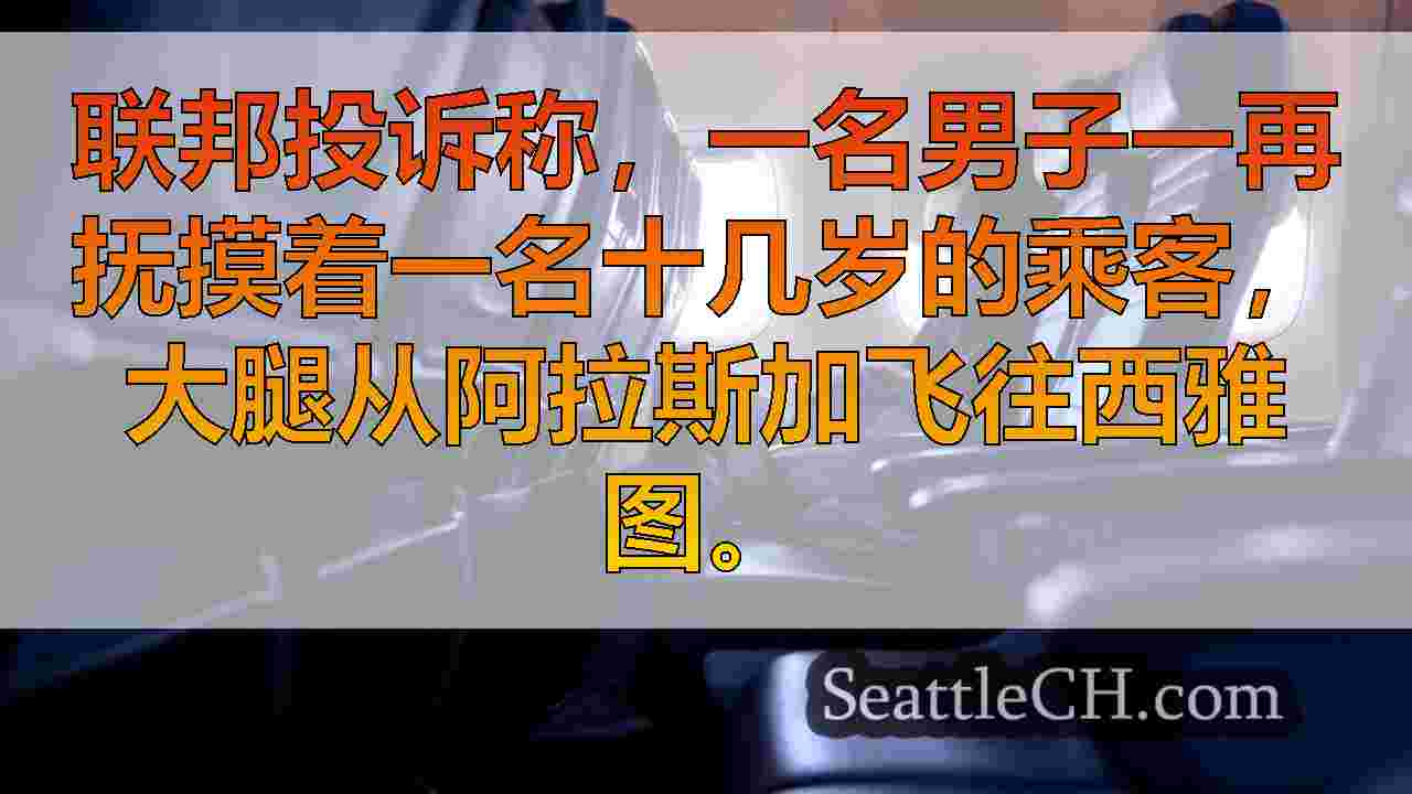 涉嫌在飞往西雅图的少年抚摸的人