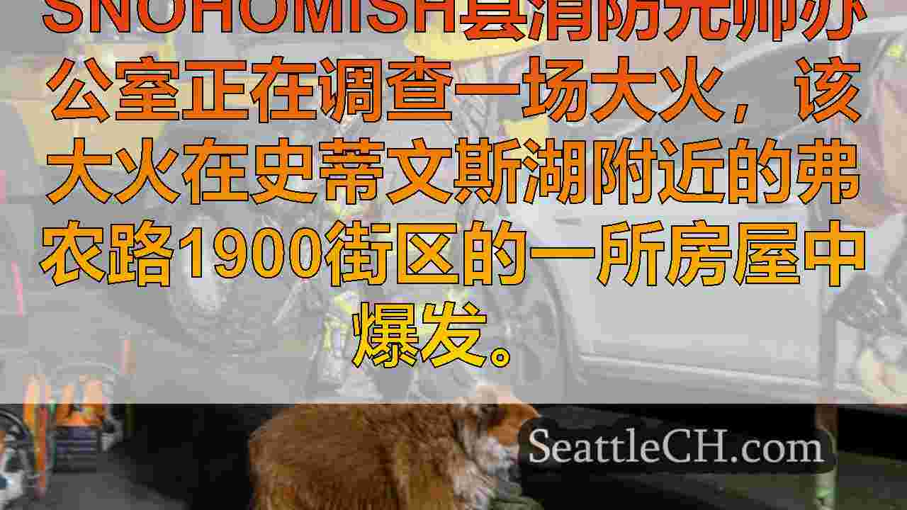 消防员在史蒂文斯湖附近的房屋大火中保存宠物后受伤