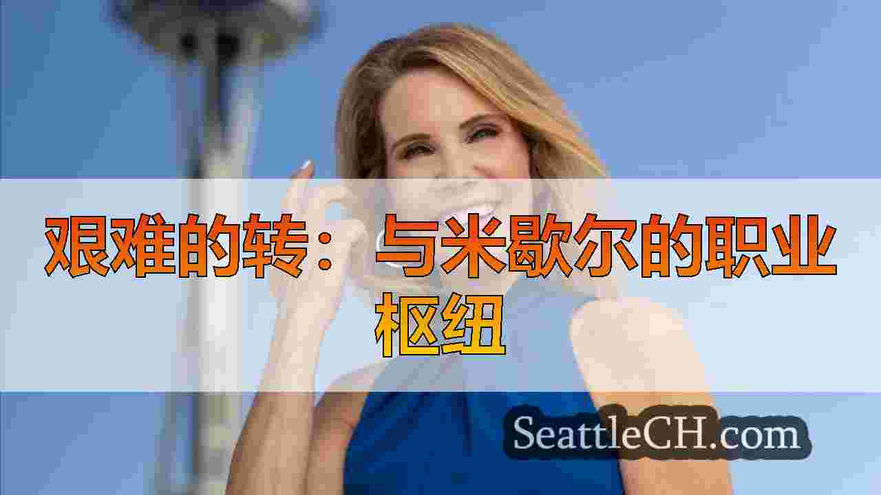 艰难的转：与米歇尔的职业枢纽