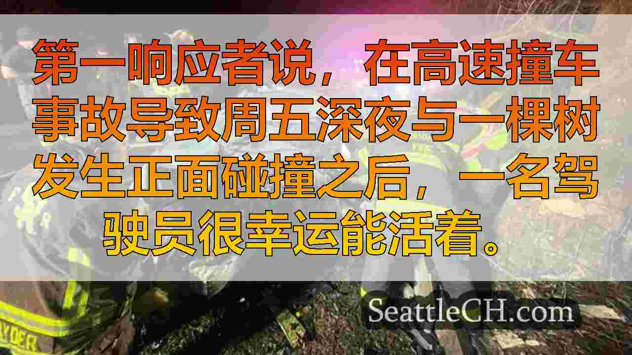 西雅图新闻 SeattleCH