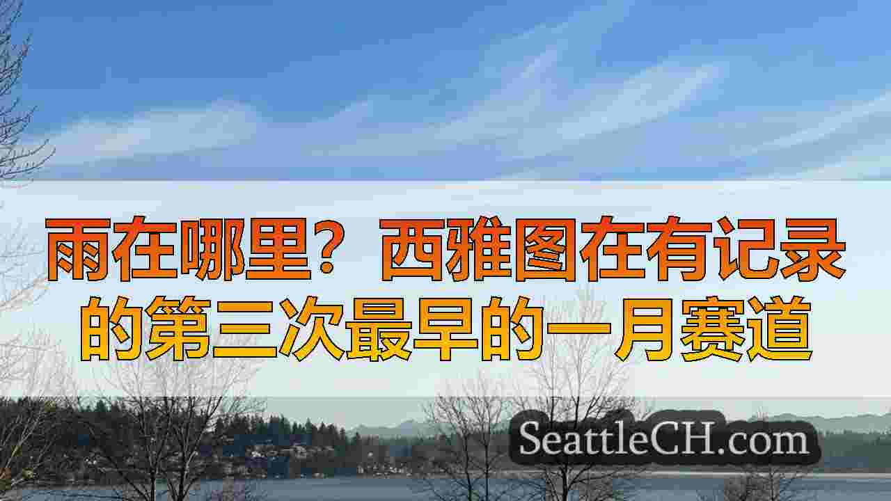 雨在哪里？西雅图在有记录的第三次最早的一月赛道