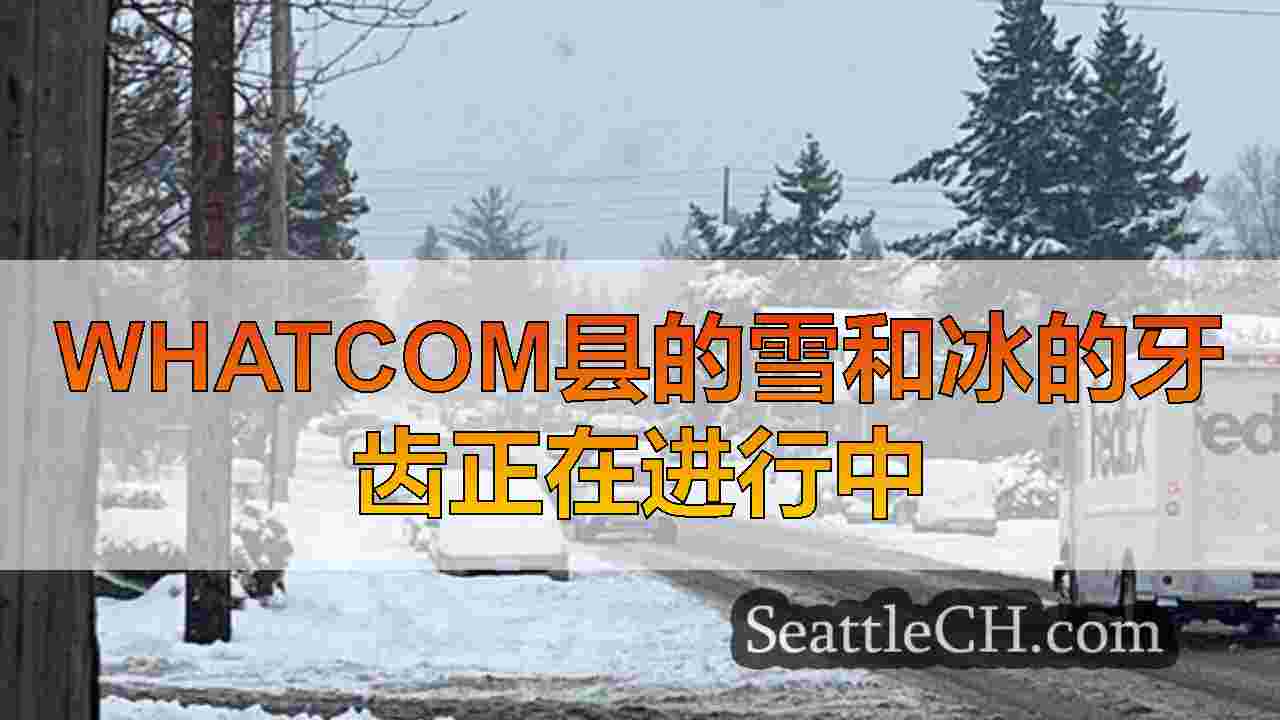 西雅图新闻 SeattleCH
