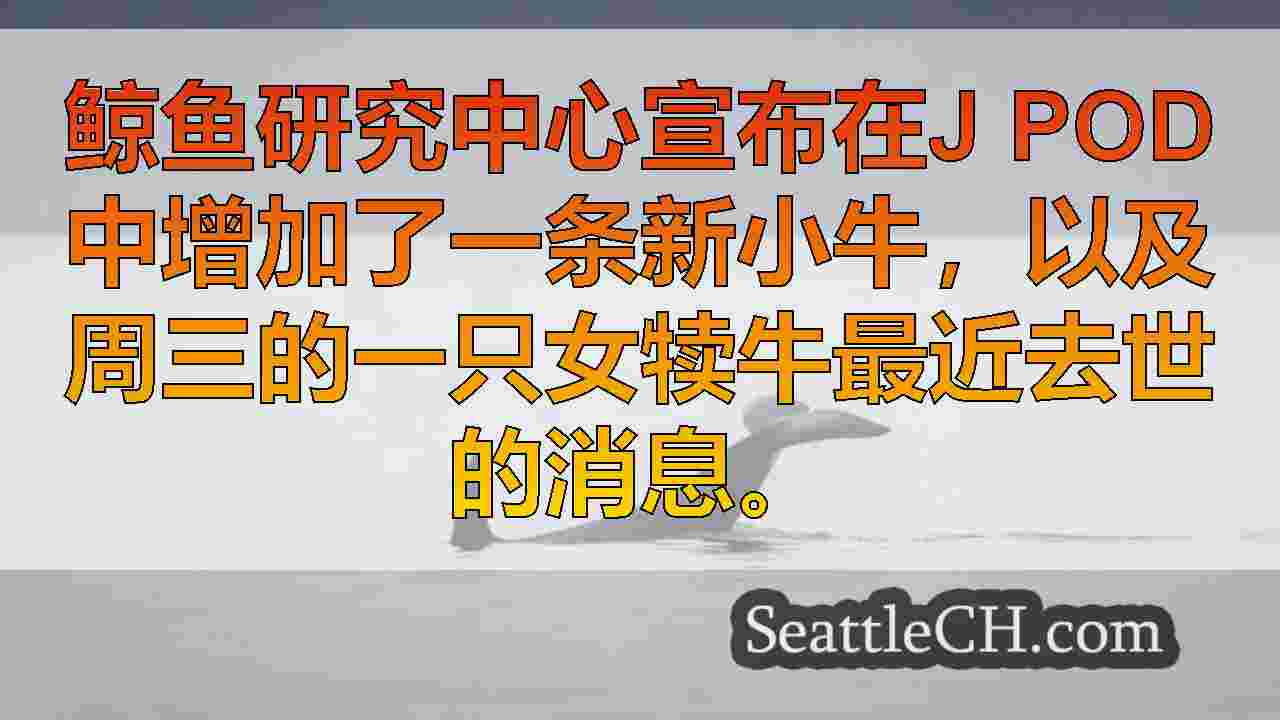 西雅图新闻 SeattleCH