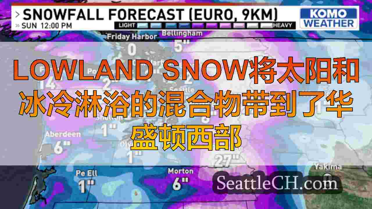 西雅图新闻 SeattleCH